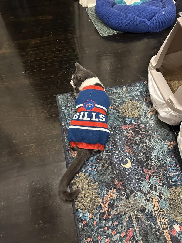 Bug says go bills
