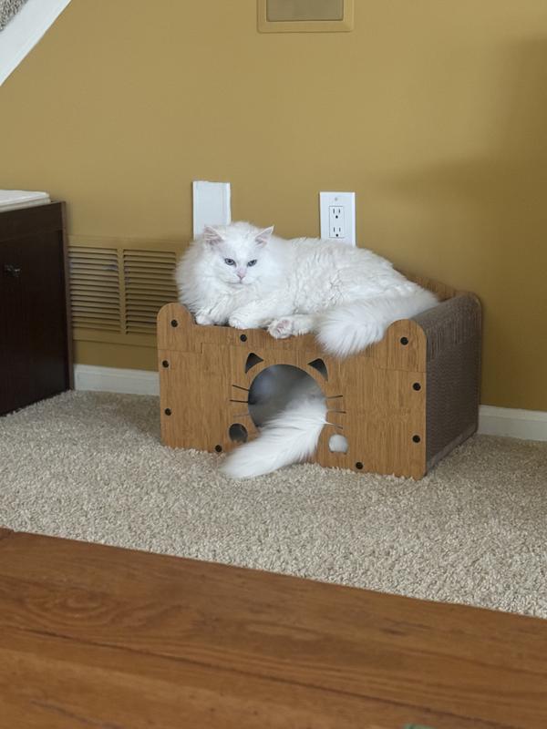 2 brothers checking out the new space