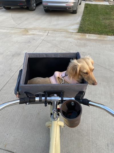 Bike basket for dogs up to 20 discount lbs