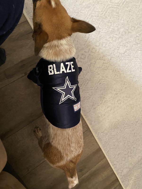 Puppy in cowboy jersey
