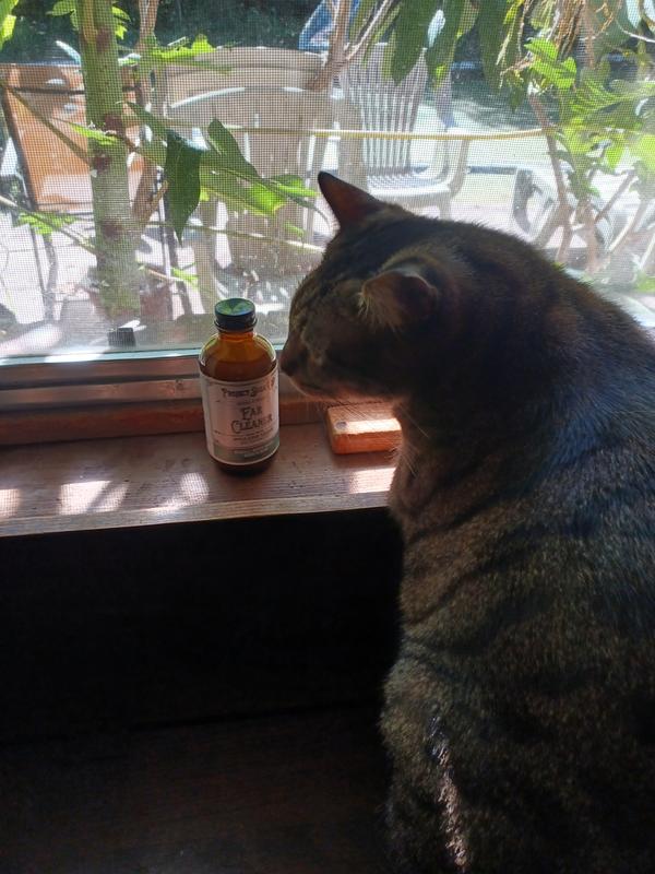 Always checks out the new stuff