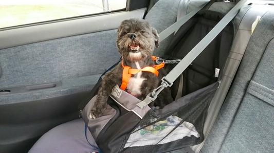 Outward hound shop dog car seat