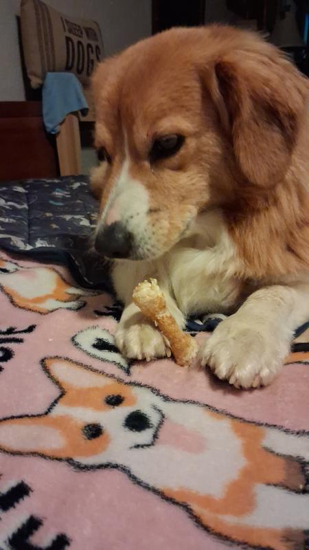 Patrick loves his bones.