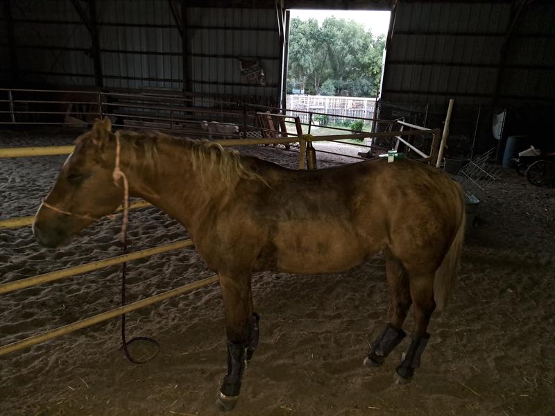 Super Flexible yet strong enough to scrub