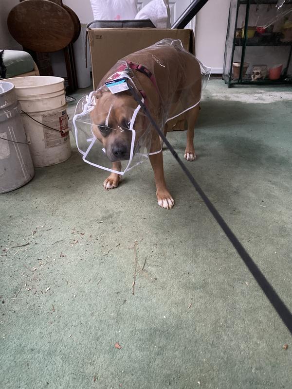 Frisco Lightweight Clear Vinyl Dog Raincoat