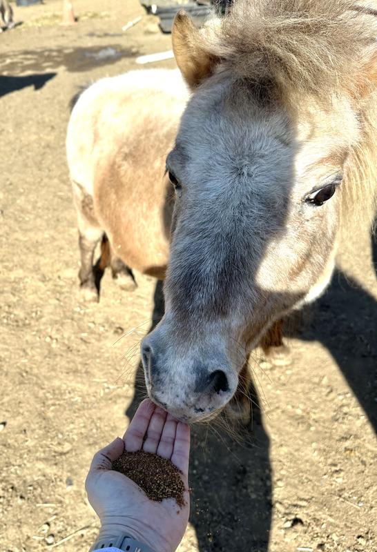 It’s passed the sniff test!