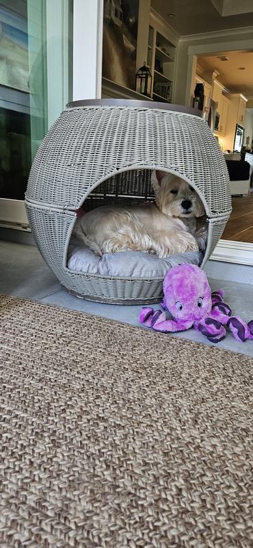 Ziggy in his little hide out