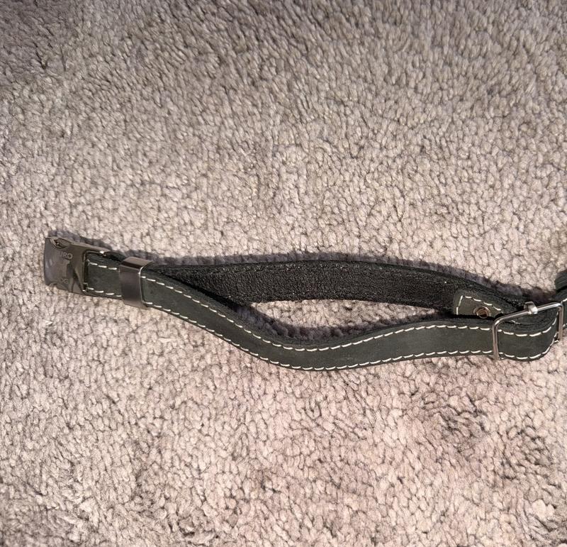 Grey collar inside is black