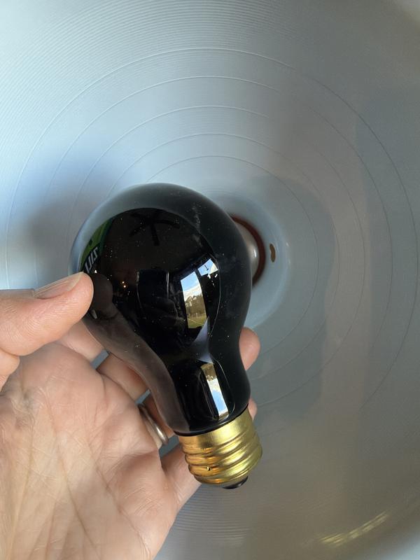 An actual black light- not a good choice