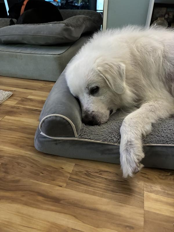 Just ate is full and ready for a nap