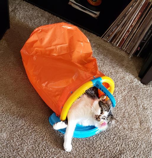 Hartz just for cats hide n play hotsell