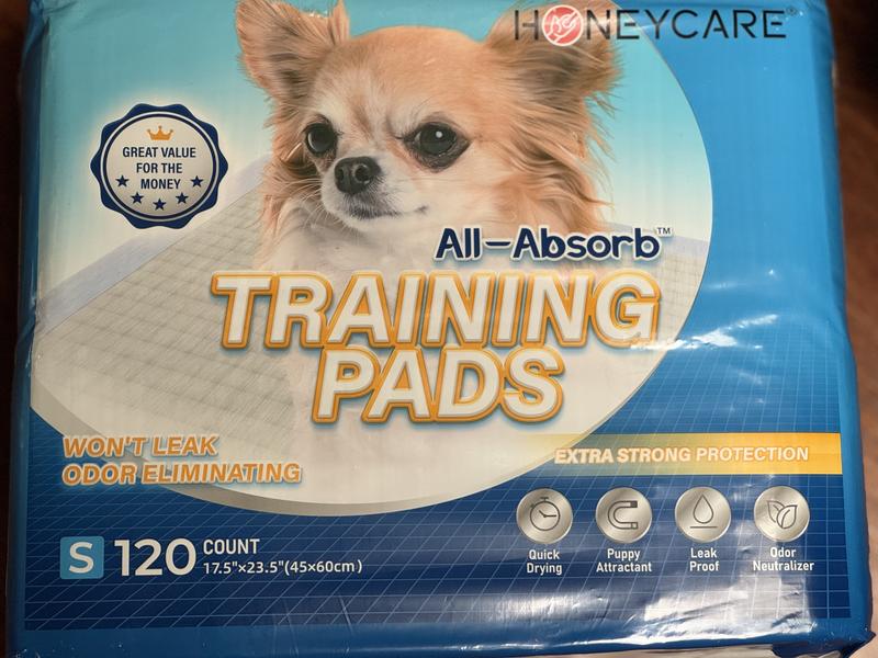 HoneyCare All-Absorb Small Super Absorbent Training Pads, 17.5 x 23.5 in