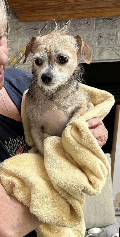 Fresh out of the tub