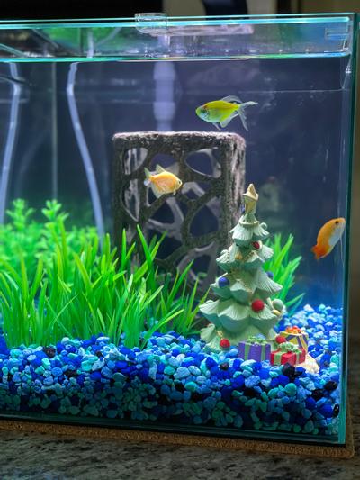 beta fish accessory christmas fish tank decorations tiny christmas tree