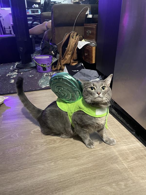 Frisco Snail Dog & Cat Costume