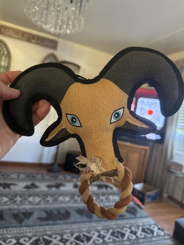 Another sadly made dog toy