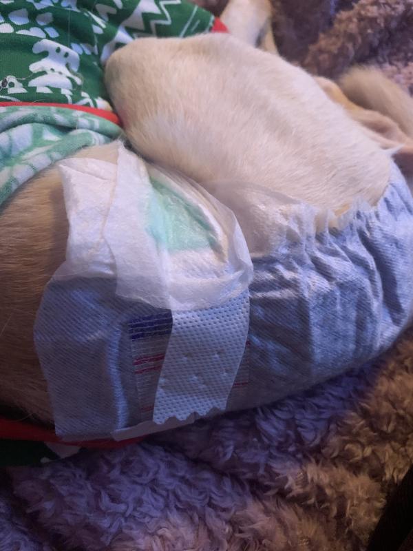 Size M for coverage.