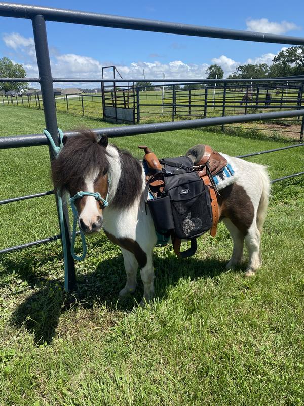 Hatchet, the One-Eyed Wonder!