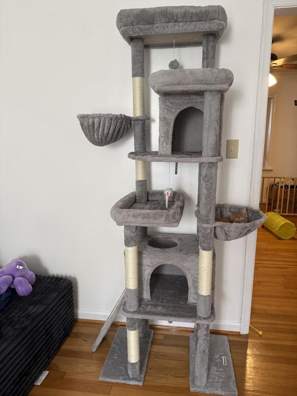 Hotel for kitties, complete with penthouse!