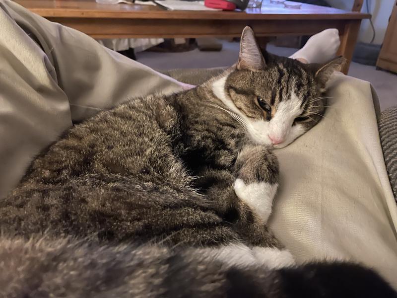 Sleep after a good meal.