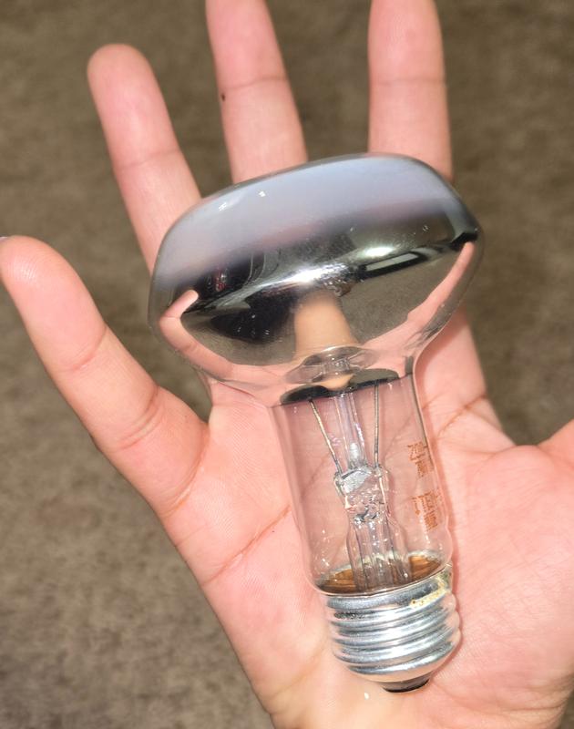 Small enough to fit in the small palm of my hand