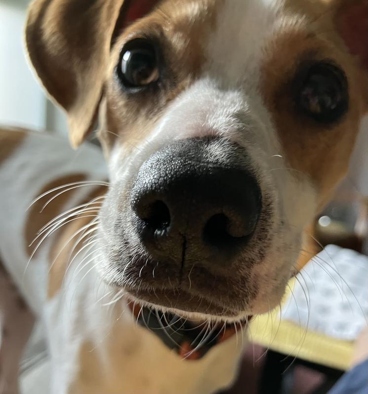 What do you mean you ran out!