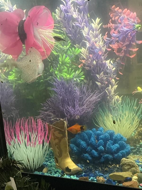 Pic to show 2/3 colors I have.., & that beautiful blue coral, Need a Bigger one, a center-piece for 55g…