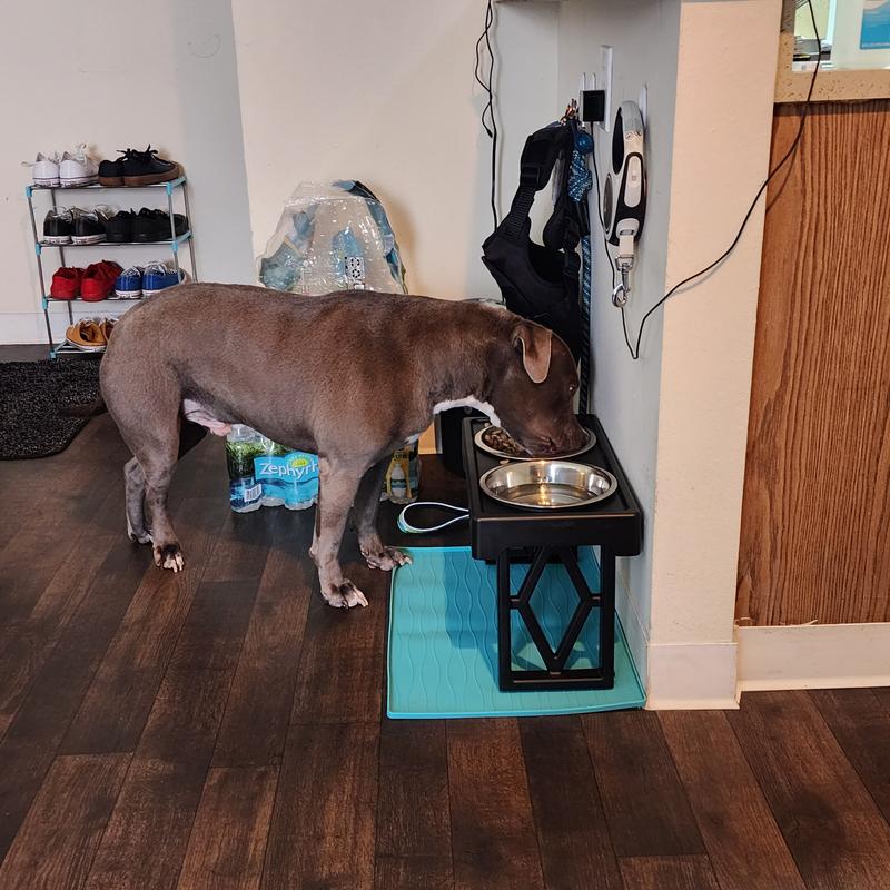 PET ZONE Designer Diner Adjustable Elevated Dog & Cat Bowls, 7-cup 