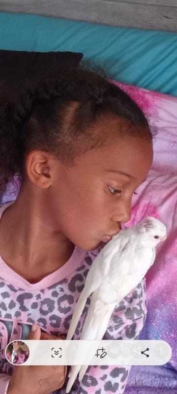 My hrandbabie is a bird whisperer!! ❤️