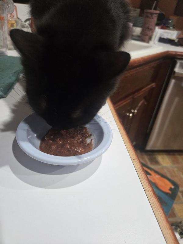 Even Baby Boy likes it!