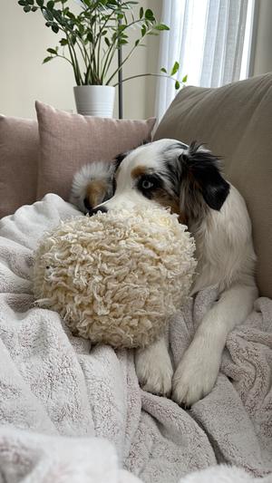 L'BARKERY - Chewy Vuiton Ball Plush Dog Toy – Fetch Connection