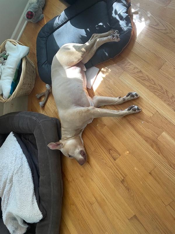 Likes it for the feet lying down