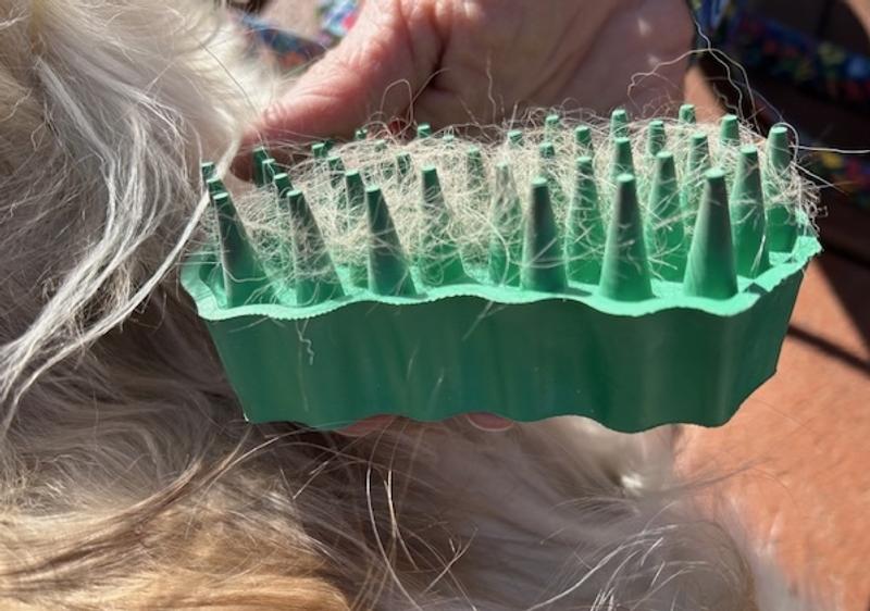 My dog enjoying her new brush