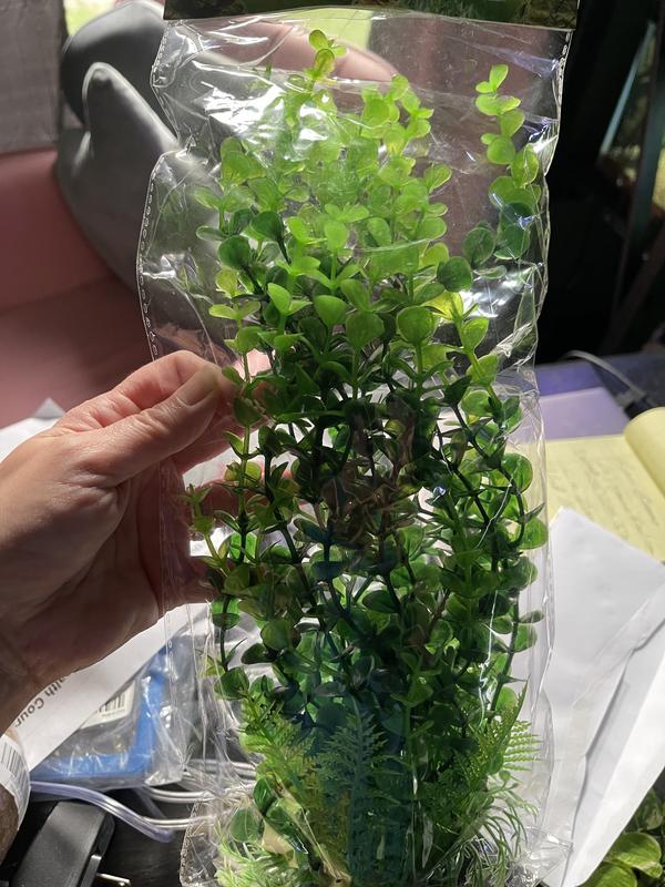 Doesn’t look like pic