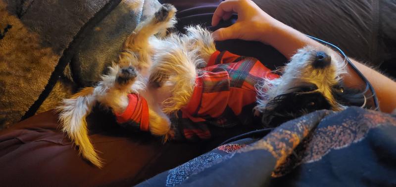 Relaxing in her PJ's.