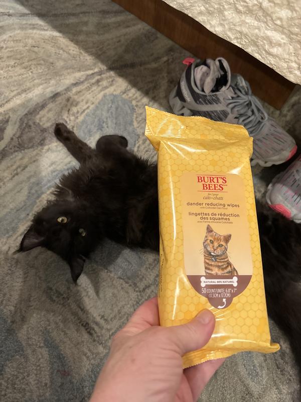 Burt's bees store cat dander wipes