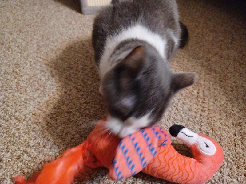 Yuna rubbing her face on it.