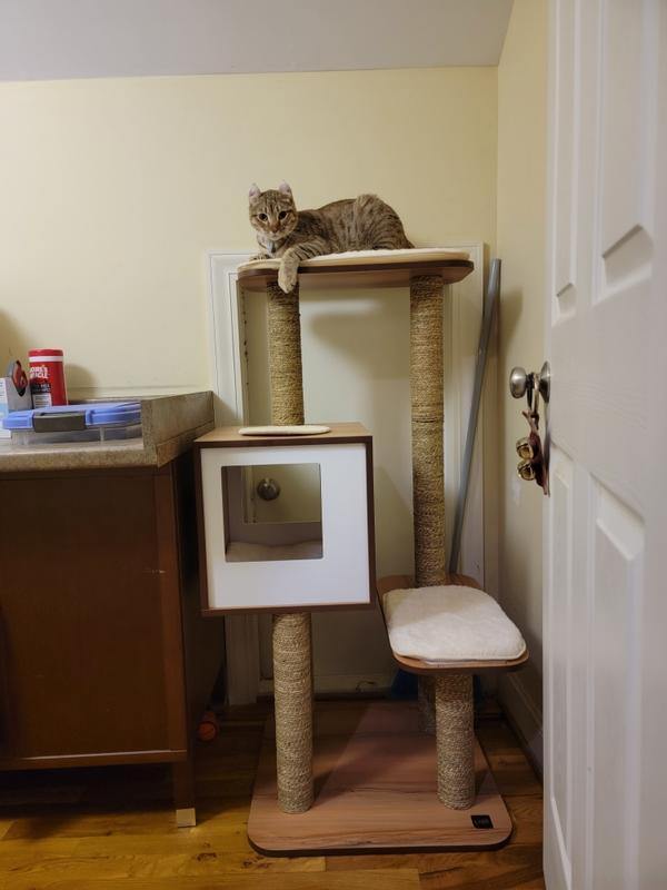 VESPER High Base 47.8in Modern Cat Tree & Condo, Oak