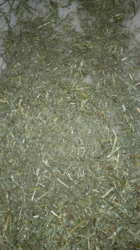 Dust layer, barely any useable hay
