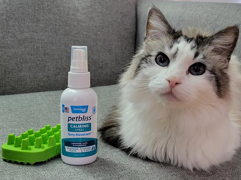 The Furbliss was recommended on Petbliss bottle and was not included