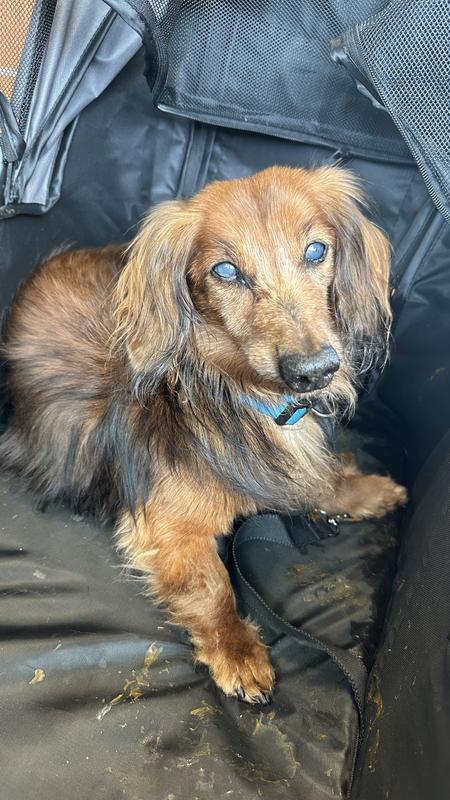 Ignore the peanut butter mess he made