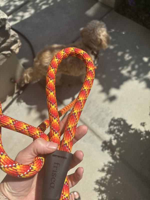 Rubber piece that connects the leash handle
