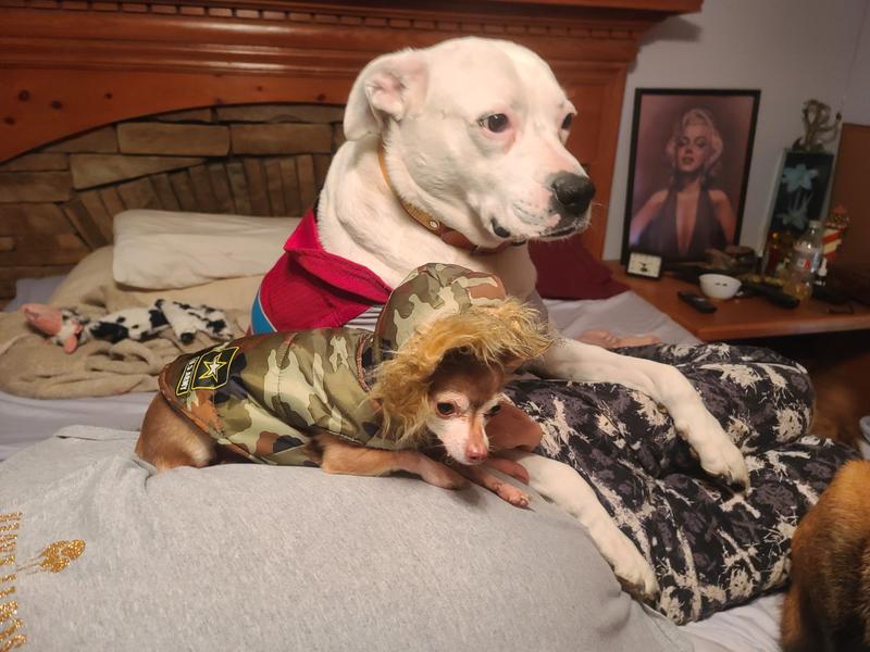 2 of the 5 loki and Bessy