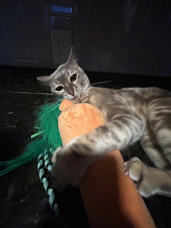 Discontinued - SMARTYKAT Kolossal Karrot Crinkle Kicker Catnip Cat