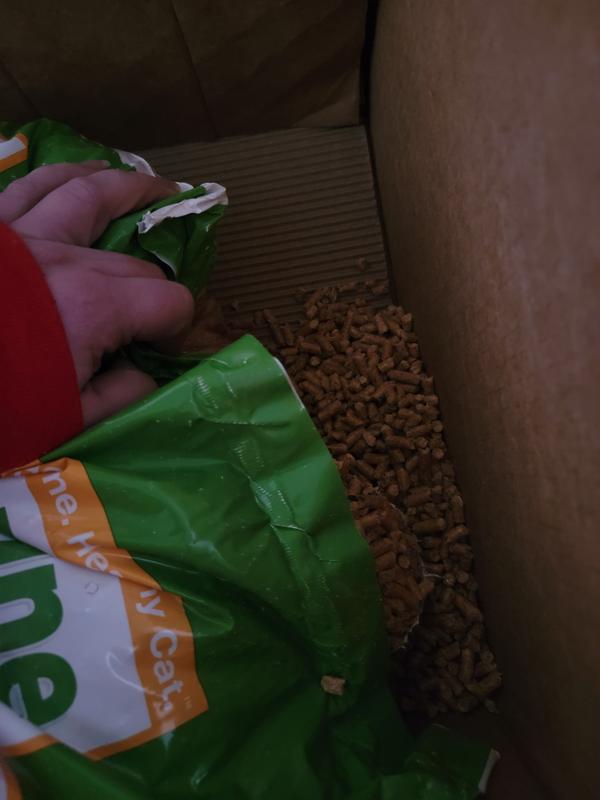 Chewy pine litter sales