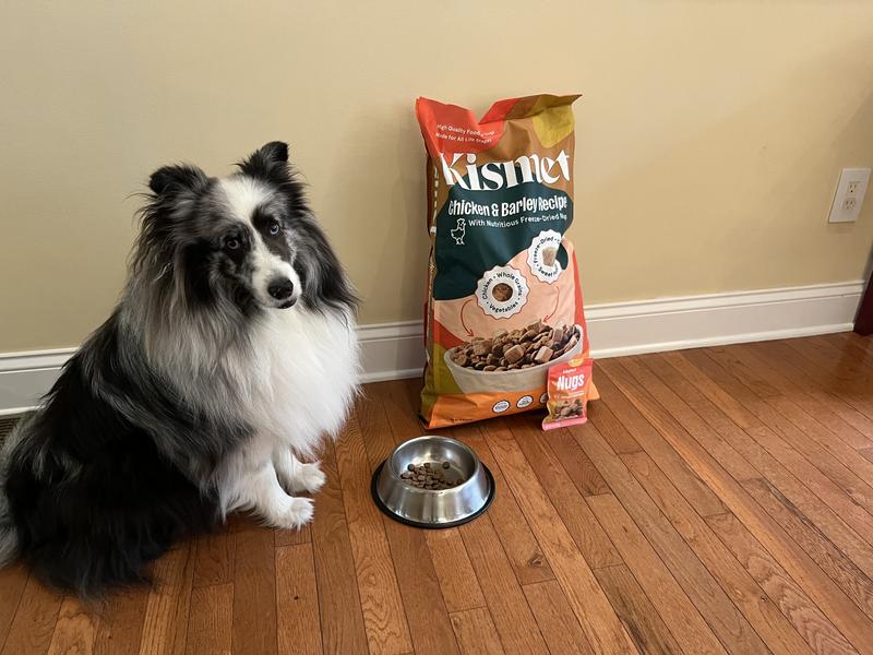 Hurry up with the photo - it's lunchtime!