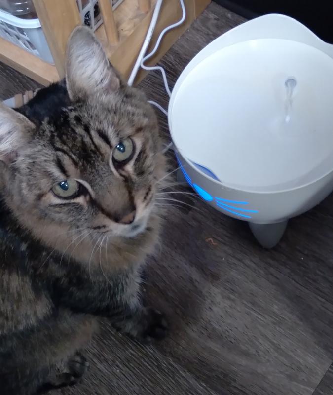 Earl says, "Please change the filter, mom!"