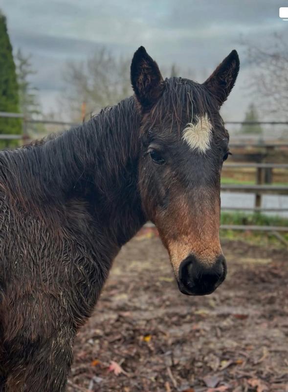 Loved and given a second chance.