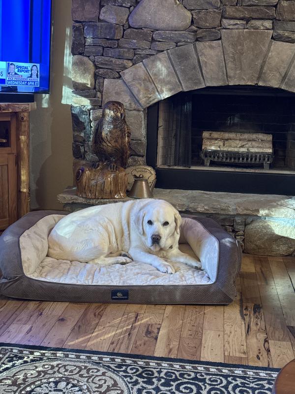 SERTA Quilted Couch Cat & Dog Bed, X-Large, Tan - Chewy.com