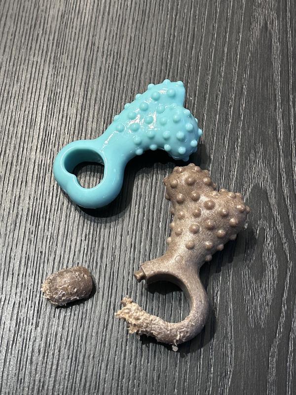 FRISCO Bacon Flavored Interlocking Bone Nylon & TPR Dental Teether Chew ...